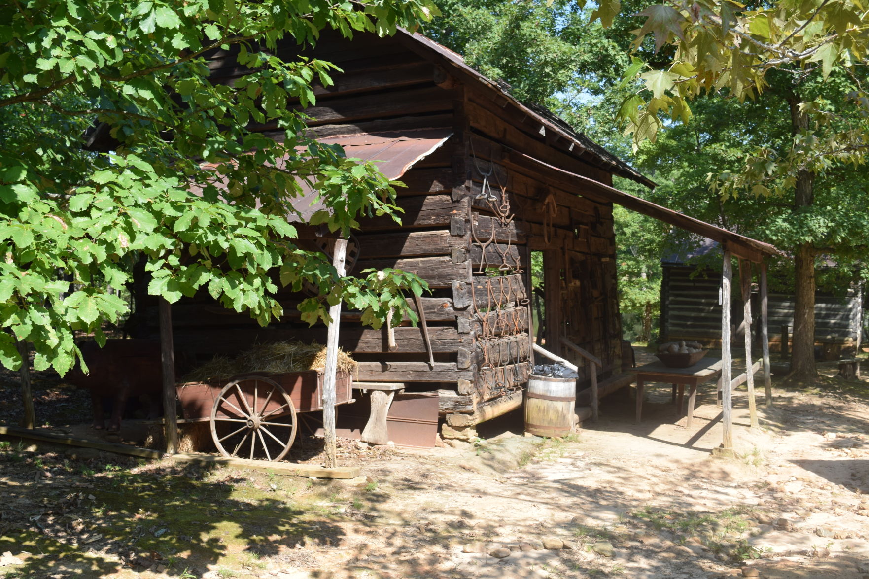 Hoppin aug. 5 (70).JPG